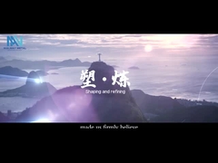 Il video promozionale di Shanghai Walmay Metal Group